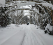 Лыжный однодневный поход «Тайны урочища Тёплое»