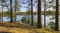 Карельский велопоход: Ладожское озеро, реки, скалы, водопады