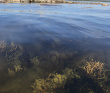 Соловецкие острова на морских каяках