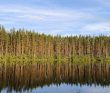 Карельский велопоход: Ладожское озеро, реки, скалы, водопады