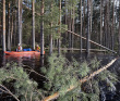 Сплав по реке Пра: через самое сердце Мещеры