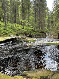 Водопады Ладожской Карелии