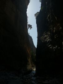 Фото из отзыва участника
