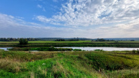 Фото из отзыва участника