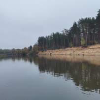 Сплав на сапборде по реке Клязьма (один день)