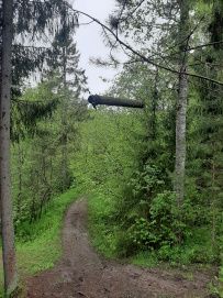 Трекинг по Оредежским берегам