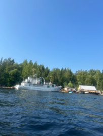Белое море на морских каяках (байдарках): Карельский берег