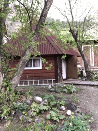 Всё и сразу на Алтае