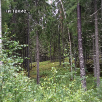 Гранатовые копи Карелии