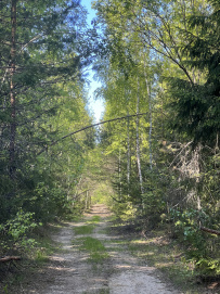 Пеший поход «Край покинутых деревень»