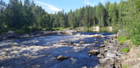 Сплав по реке Шуя