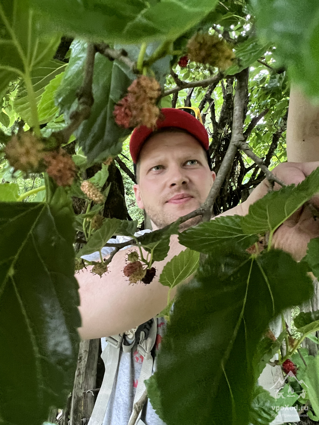 Контрасты Абхазии. Поход с детьми