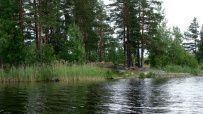 Водное ассорти с детьми: на лодках, байдарках, сапах