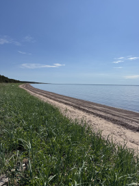 Аметистовый берег Белого моря