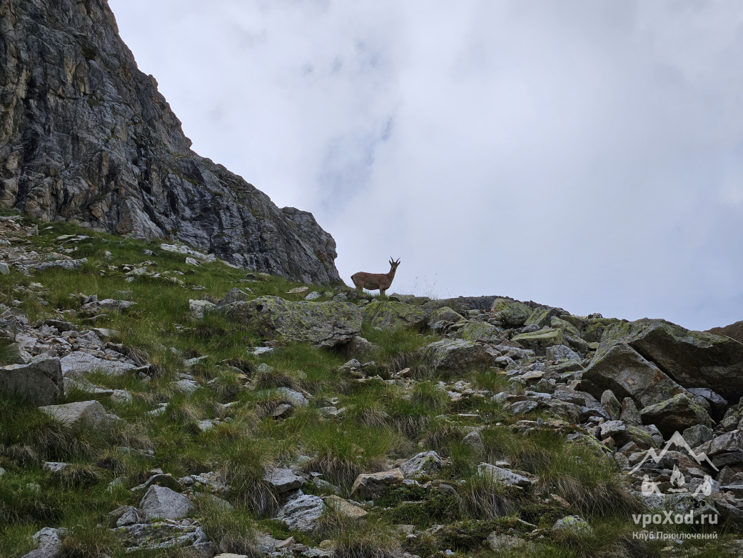 «Твоя вершина»: восхождение на Западную вершину Эльбруса