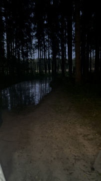 Пеший поход к Московскому морю