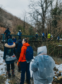 Южное цветочное путешествие: кавказские цикламены и подснежники