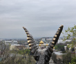 Пятигорский перевал (программа с размещением в старинном купеческом особняке XIX в.)