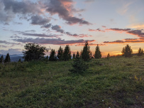 Горный лагерь в Актру (проживание в домиках)
