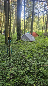 Пеший поход «Пантелеево болото да река Сестра»