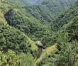 Целебный горный лагерь на Кавказе