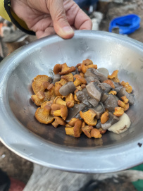 Соловецкие Острова в Белом Море (экскурсии + поход)