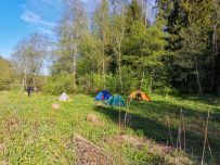 Сплав по реке Оредеж на пакрафтах