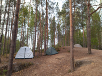 Сплав по реке Шуя