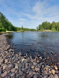 Сплав по реке Шуя