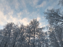 Зимние приключения на Урале с детьми 7+