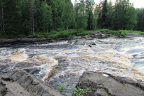 Сплав по реке Шуя