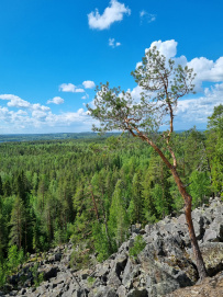 Астероидное озеро Янисъярви