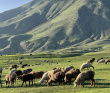 Вокруг Иссык-Куля: мобильный кемпинг