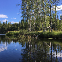 Сплав по реке Кереть и Белое море