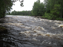 Сплав по реке Суна на байдарках