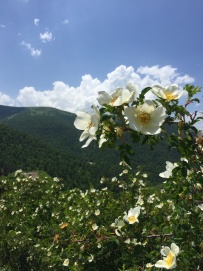 Семь чудес Приэльбрусья (автотур, трекинг, фототур)