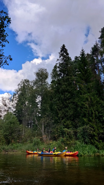 Оредеж — прогулка на байдарках (1 день)