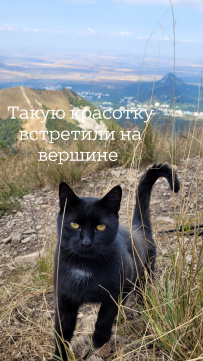 Горный лагерь на царском курорте (Джилы-су север Приэльбрусья)