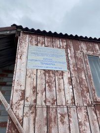 Арктические выходные-2: в погоне за китами