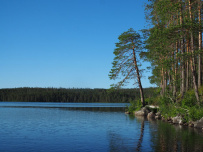 Сплав по реке Пистайоки (Писта)