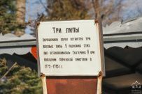 Сплав по реке Мста (на майские)