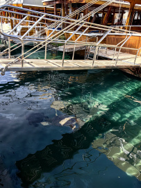 В Сердце Ликийской тропы (Поход вдоль моря, без рюкзаков)