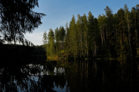 Сплав по реке Янисйоки