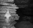 Спелеопоход в Саблинские пещеры