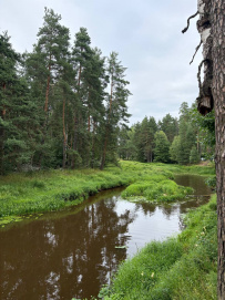 Однодневный сплав по реке Нерская