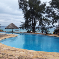 Сафари в Танзании: в гости к Королю Льву