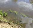 Сплав по реке Жиздра с баней на берегу