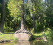 Оредеж — прогулка на байдарках (1 день)