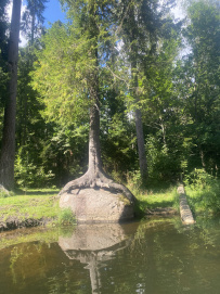 Оредеж — прогулка на байдарках (1 день)