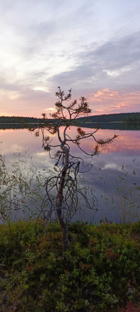 Сплав по реке Пистайоки (Писта)